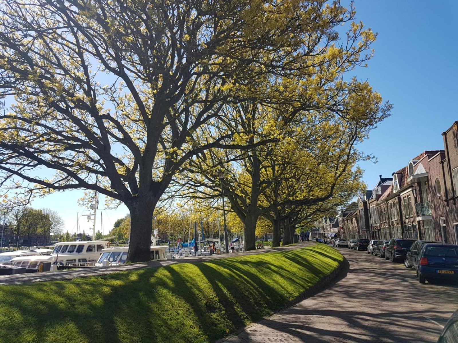 Appartement Havenzicht Enkhuizen Esterno foto